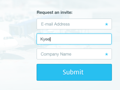 Compulsary-vs-optional-input-fields