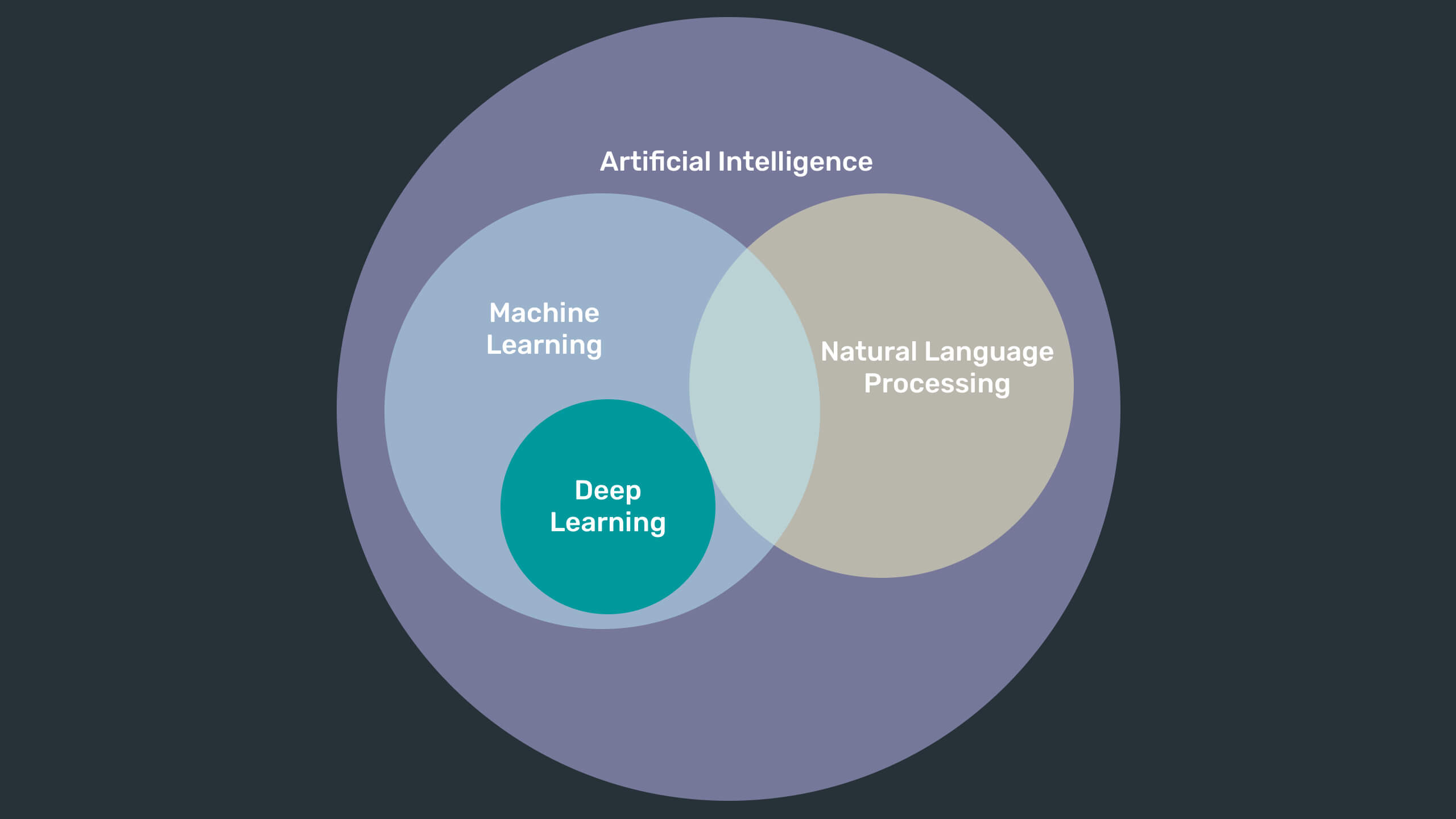 Natural Language Processing (NLP)