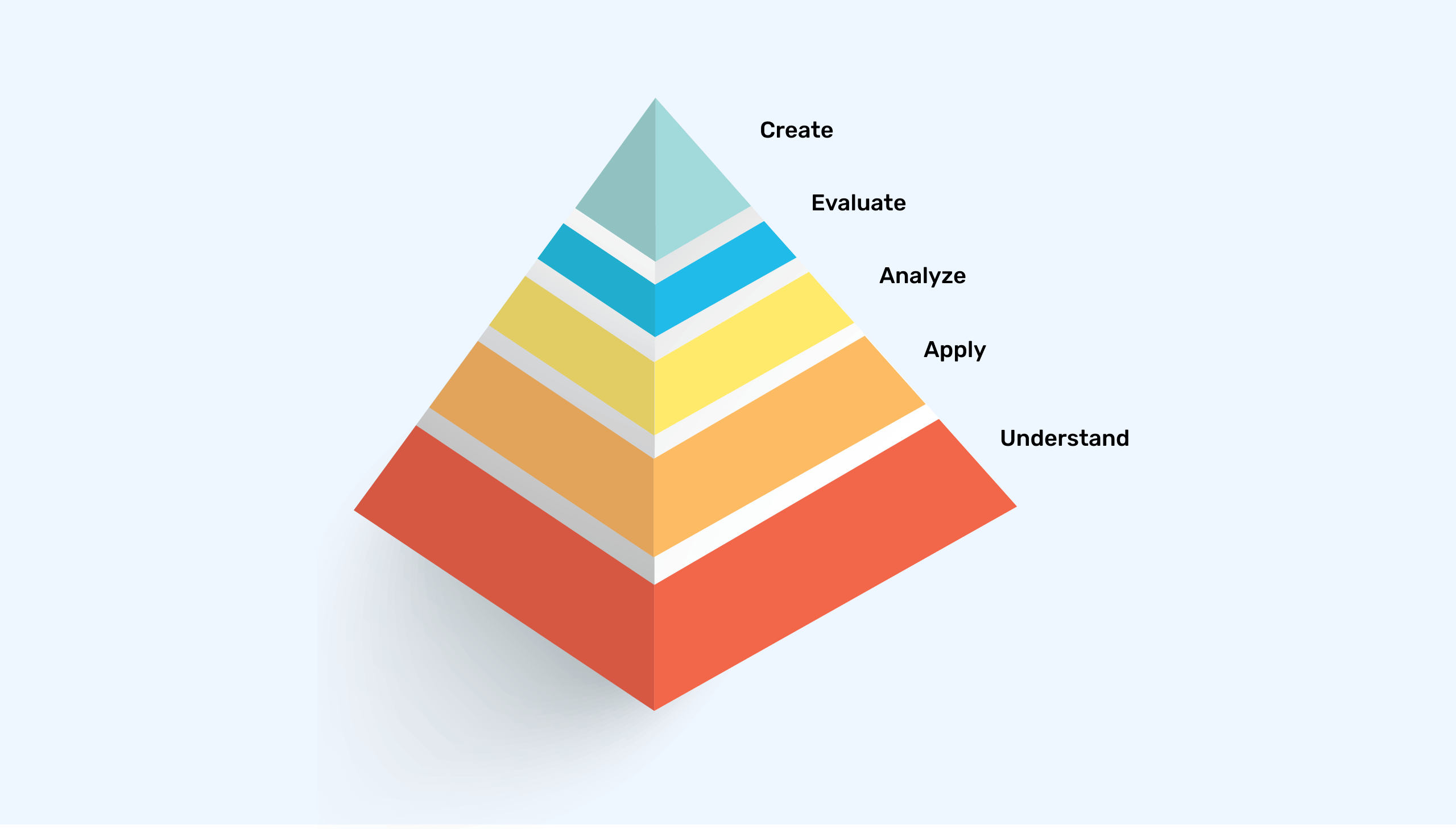 Taxonomy