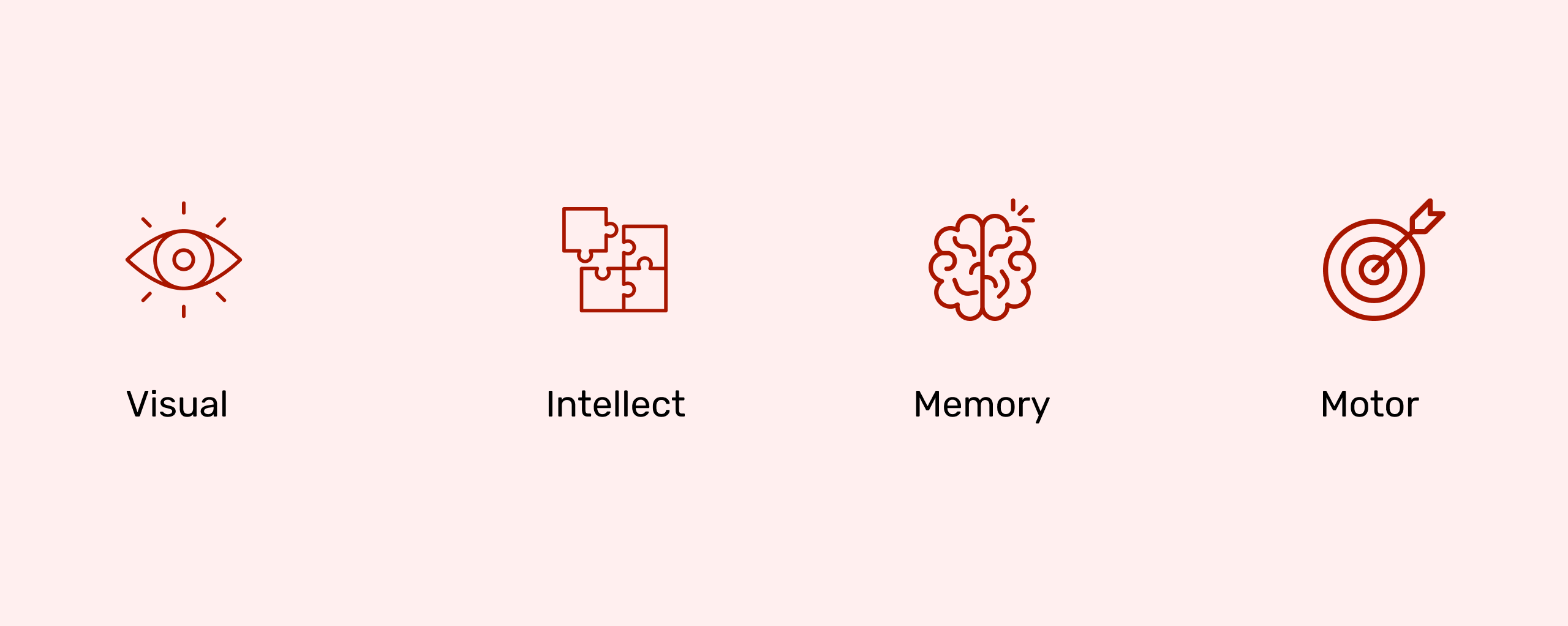 VIMM (Visual, Intellectual, Memory, Motor)